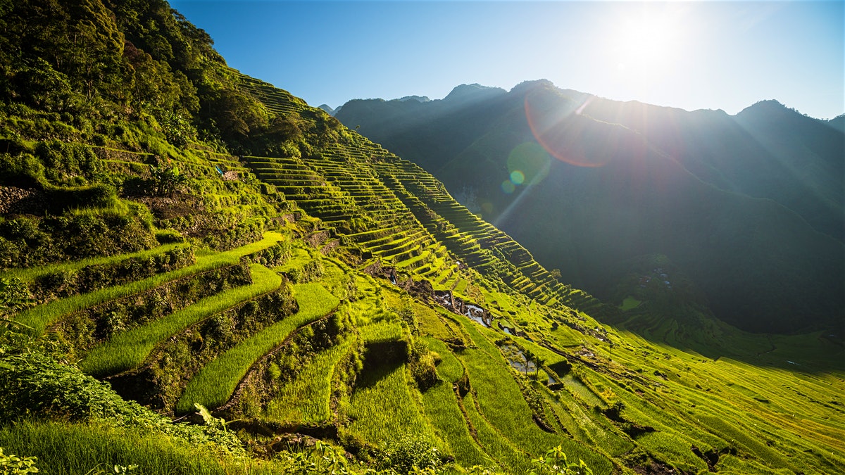 Banaue-hills-phbus