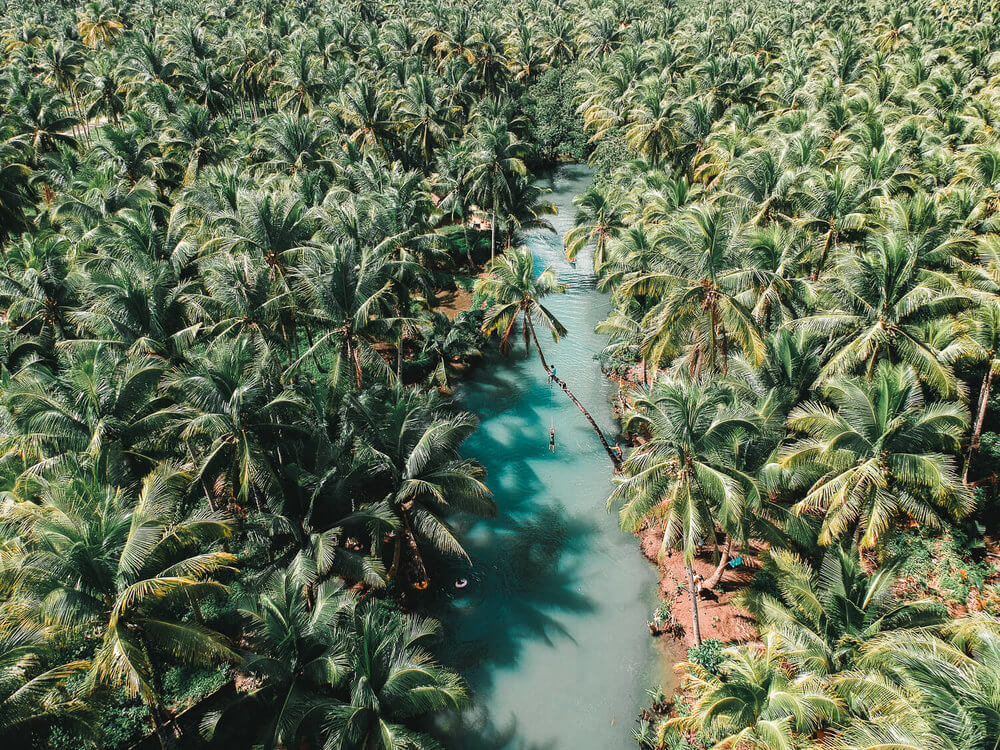 Surigao-Siargao-Maasin-River