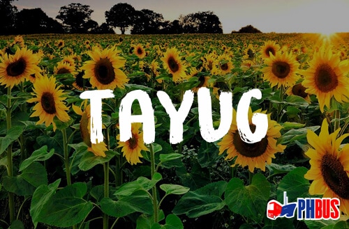 Tayug-PHBus