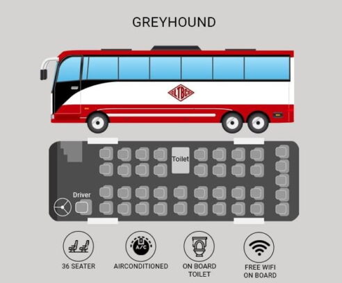 DLTB Greyhound