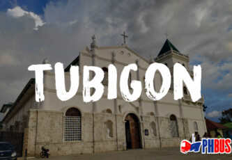 Cebu to Tubigon