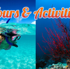 isla-mujeres-tours-activities